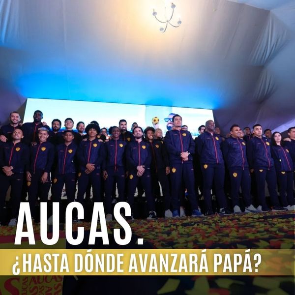 “El Papá” y un adiós prematuro de la Copa Libertadores 