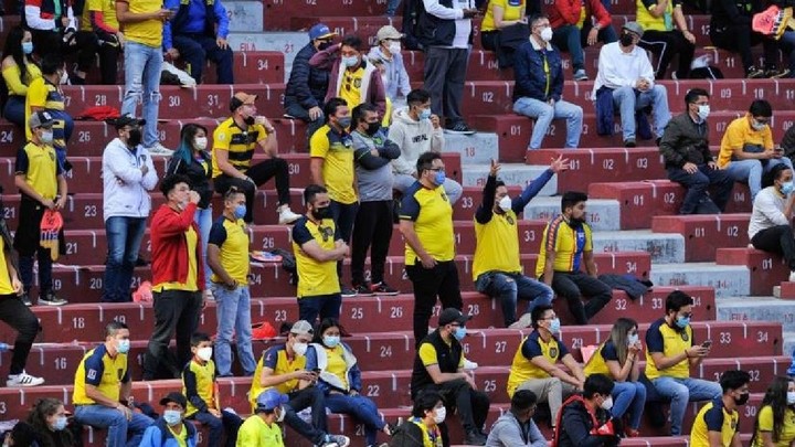 PILAS ECUATORIANOS. SE VIENE LA TRI.