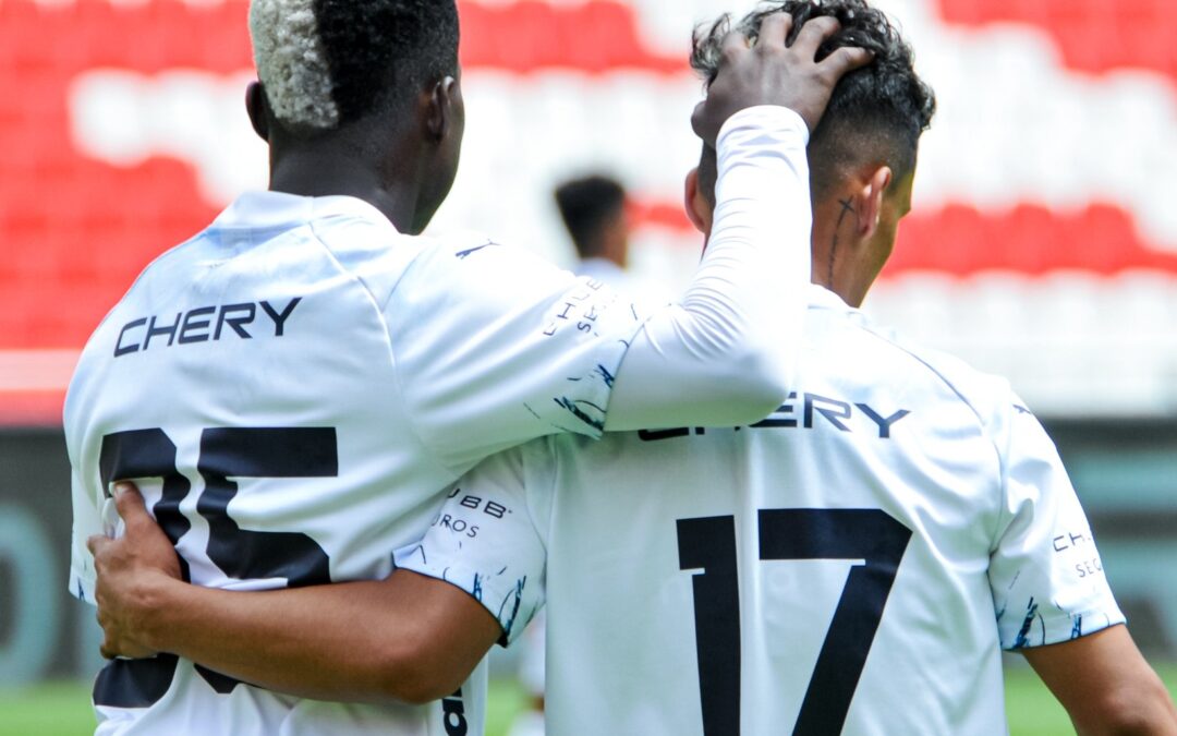 ¿En dónde necesita reforzarse LDU?