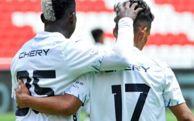 ¿En dónde necesita reforzarse LDU?
