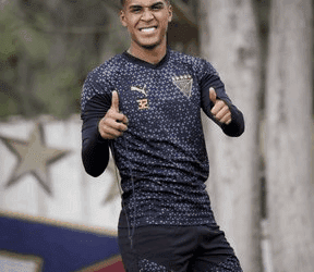 Canteranos Albos son vistos en el exterior