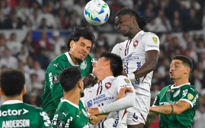 El balance Albo en su año internacional