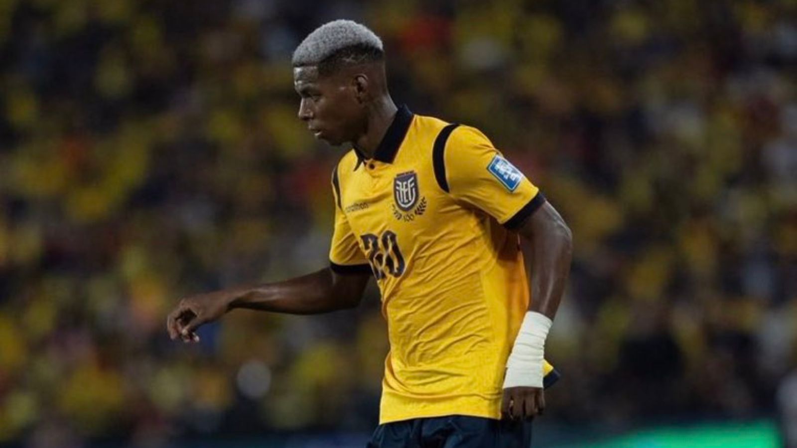 El Tricolor que no se rindió y se convirtió en mundialista