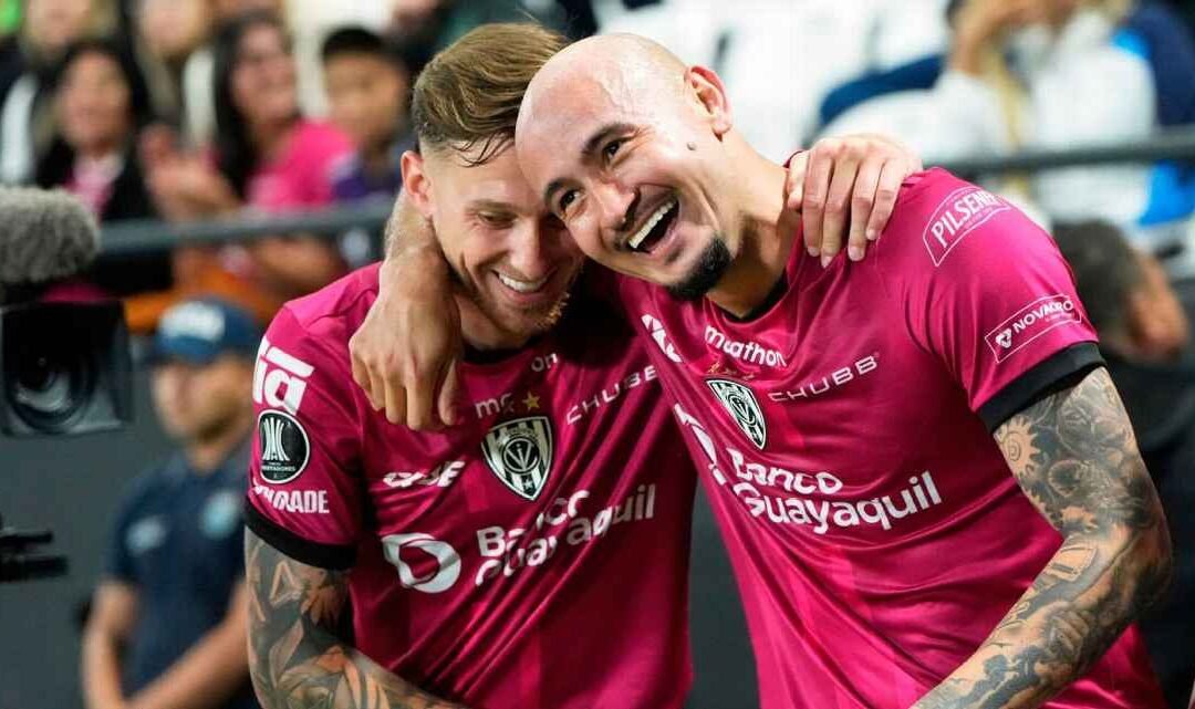 IDV «va por el mate paraguayo»
