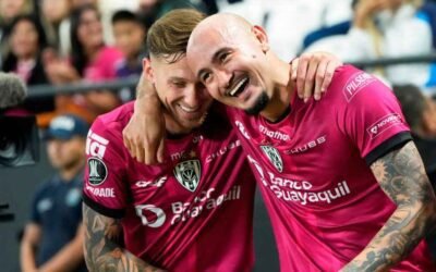 IDV «va por el mate paraguayo»