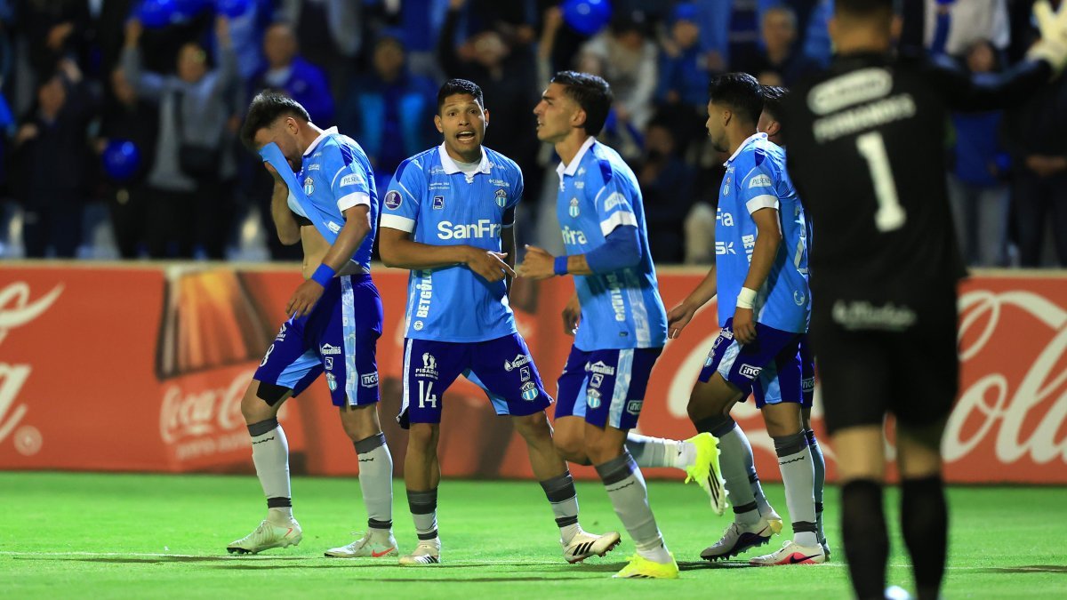 Macara_sudamericana